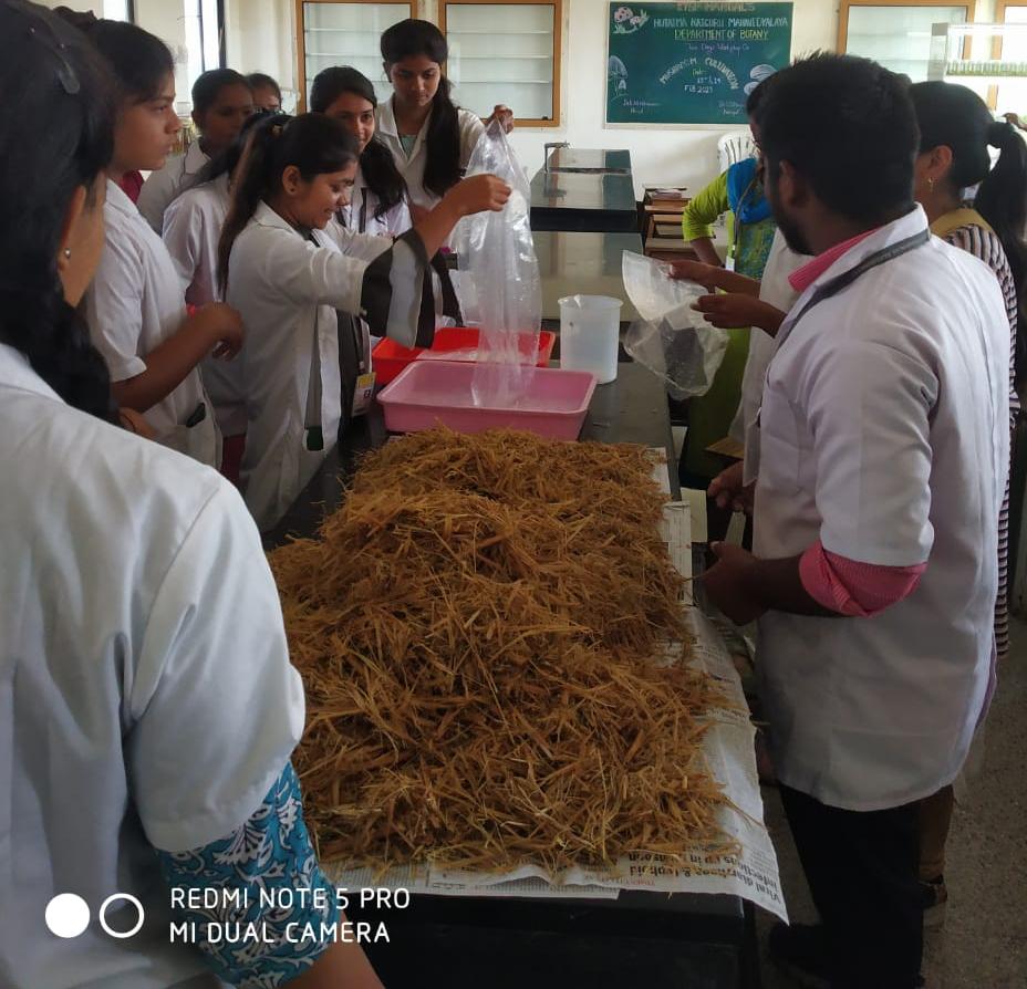 workshop on “Mushroom Cultivation